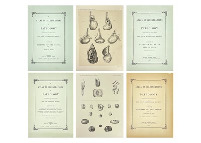 Lot 443 - Atlas of Illustrations of Pathology