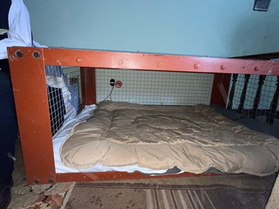 Lot 894 - Britain in the Blitz