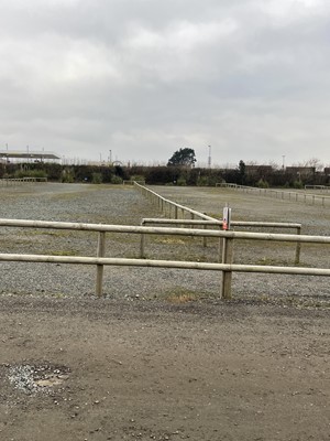 Lot 1557 - Half Round Treated Timber Fencing in Car Park