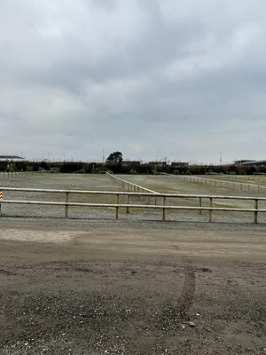 Lot 1558 - Half Round Treated Timber Fencing in Car Park