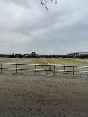 Lot 1560 - Half Round Treated Timber Fencing in Car Park