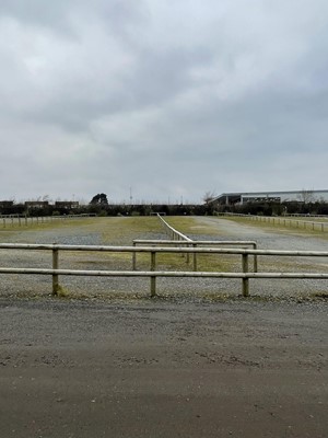 Lot 1561 - Half Round Treated Timber Fencing in Car Park
