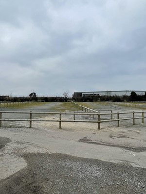 Lot 1552 - Half Round Treated Timber Fencing in Car Park