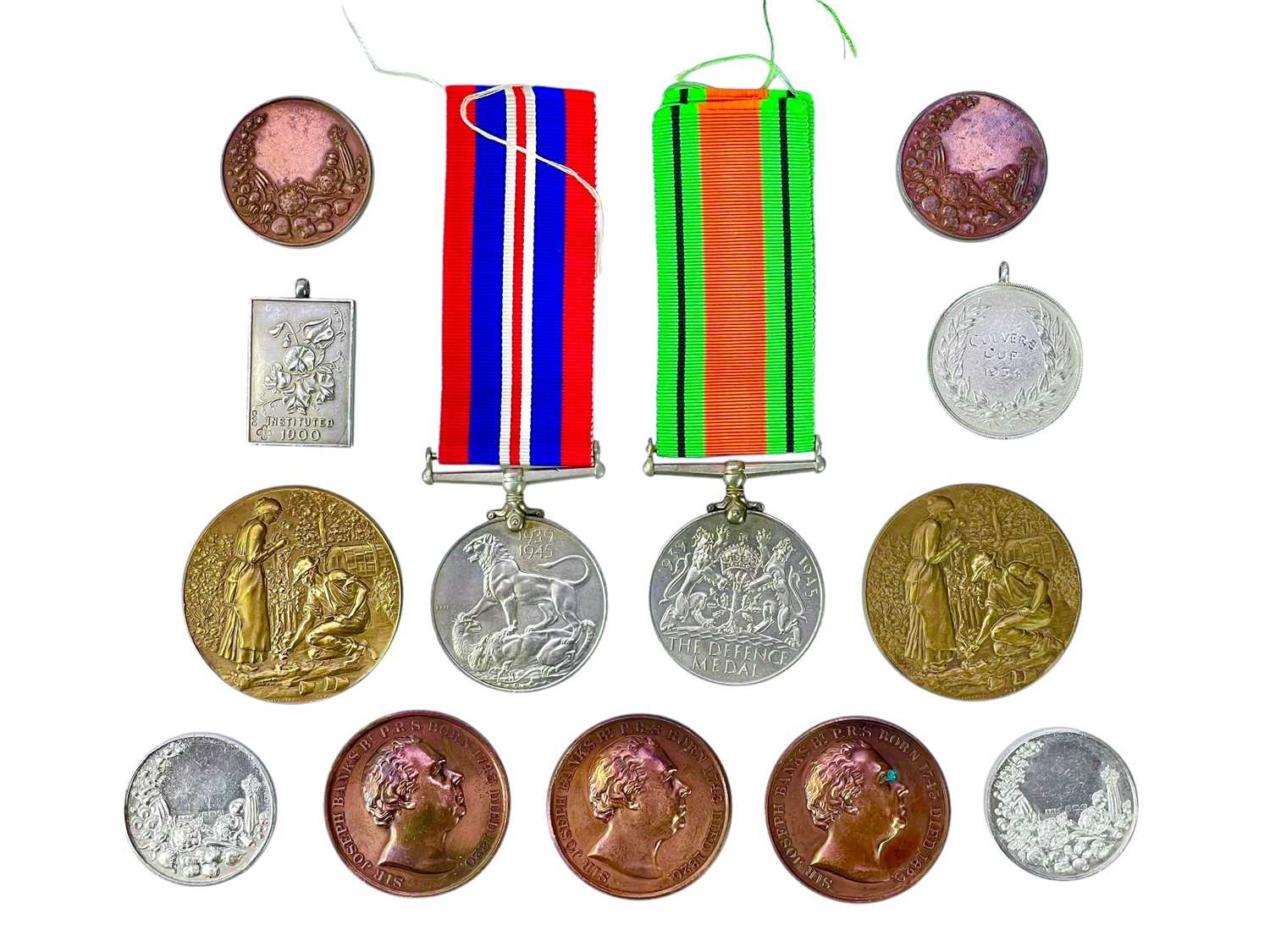 Lot 544 - Gardening and Horticultural medals.