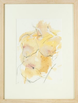 Lot 33 - Sue HALLIDAY (XX-XXI)