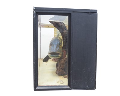 Lot 63 - A cased carved wood model of a pike.