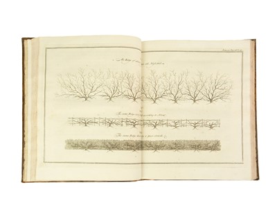Lot 66 - Edward Laurence
