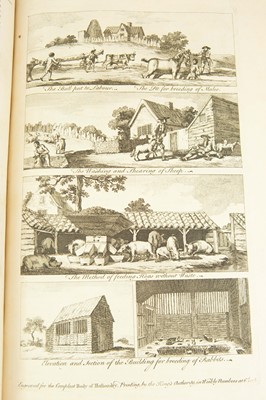 Lot 53 - Thomas Hale