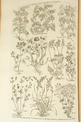 Lot 53 - Thomas Hale