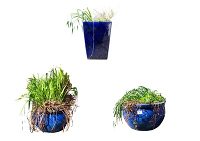 Lot 392 - A pair of large blue glazed plant pots.