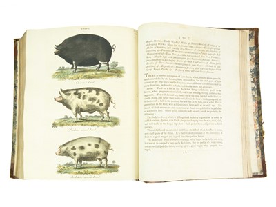 Lot 63 - R. W. Dickson