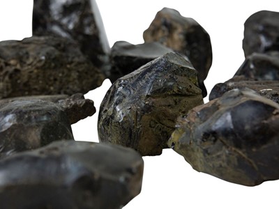 Lot 91 - A collection of obsidian samples.