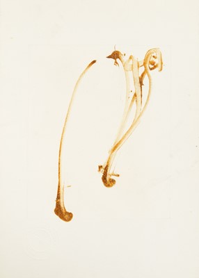 Lot 214 - Sandra BLOW (1925-2006)
