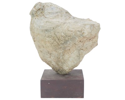 Lot 113 - A stone fossil fragment.