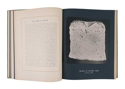 Lot 295 - Owen Simmons