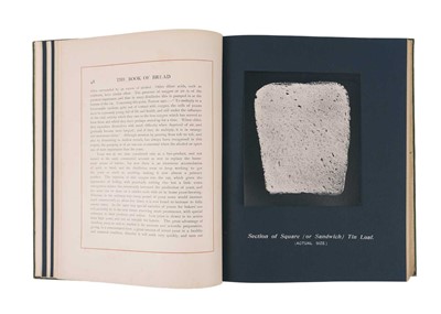 Lot 295 - Owen Simmons