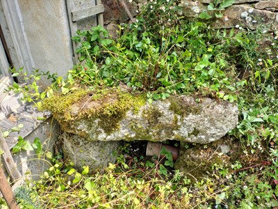 Lot 673 - Outside