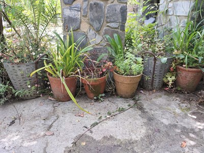 Lot 685 - Outside