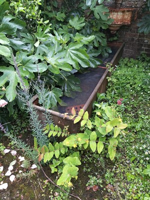 Lot 693 - Outside
