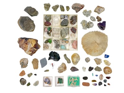 Lot 116 - A collection of approximately 60 mixed rock/mineral specimens.