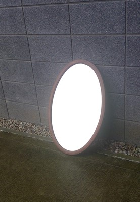 Lot 113 - An Edwardian Mirror. With a Bevelled Plate and...