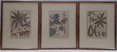 Lot 7 - Three decorative 'Histoire Naturelle' colour...