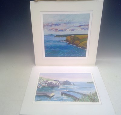 Lot 172 - Two sue TEMPLEMAN prints. Mullion Cove is...