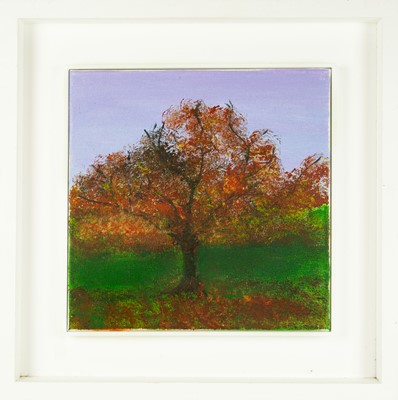 Lot Judy SYMONS (XX-XXI)