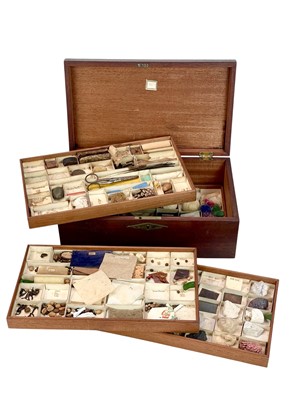 Lot 46 - An early Victorian educational collector's cabinet.