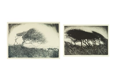 Lot 225 - Adrienne PEVERALL (XX-XXI, St Ives Society of Artists)