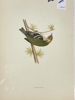 Lot 47 - A large collection of prints, bookplates and illustrations &c. &c.