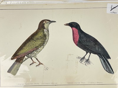 Lot 47 - A large collection of prints, bookplates and illustrations &c. &c.