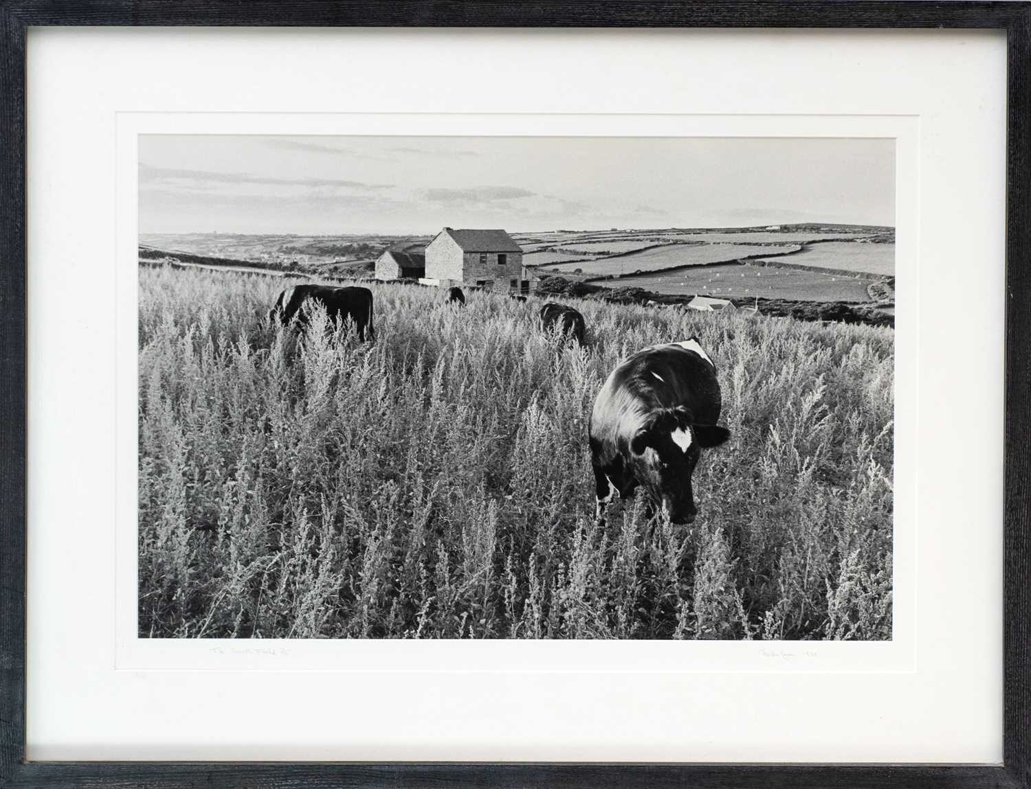 Lot 133 - Ander GUNN (XX-XXI)