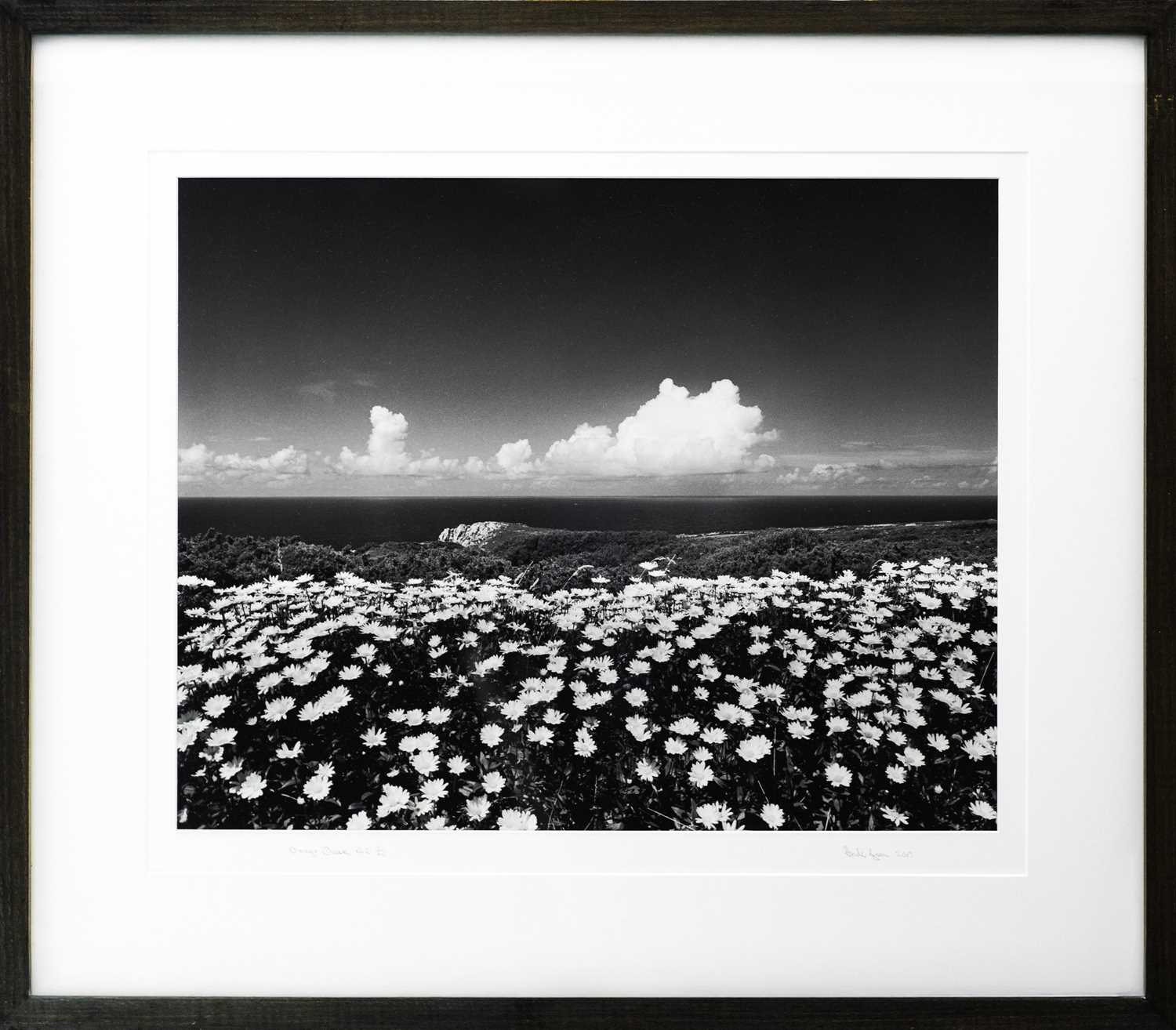 Lot 131 - Ander GUNN (XX-XXI)