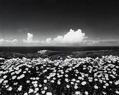 Lot 131 - Ander GUNN (XX-XXI)