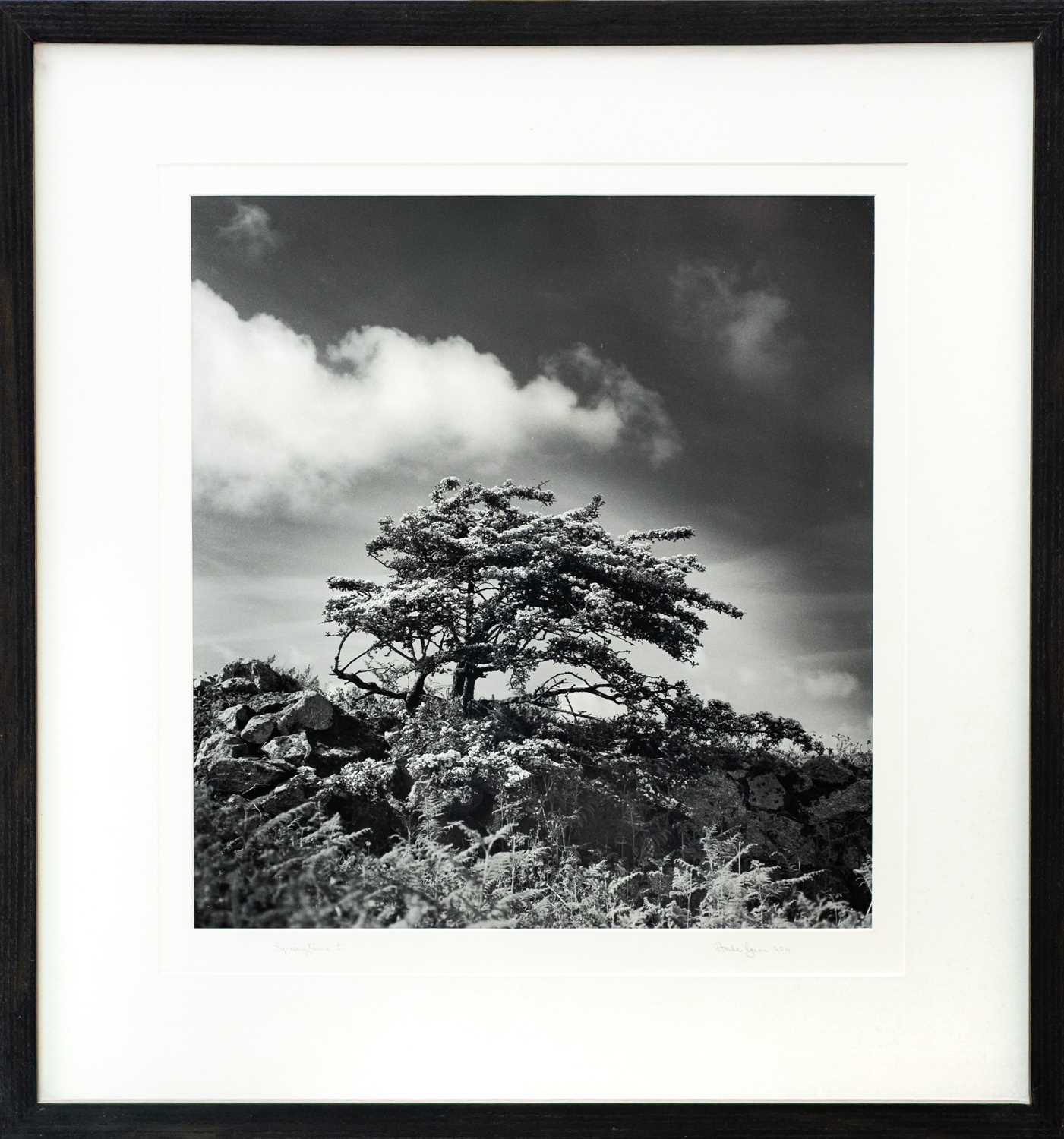 Lot 120 - Ander GUNN (XX-XXI)