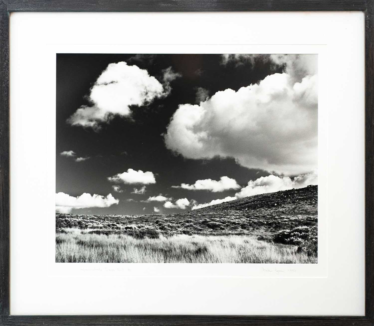 Lot 125 - Ander GUNN (XX-XXI)