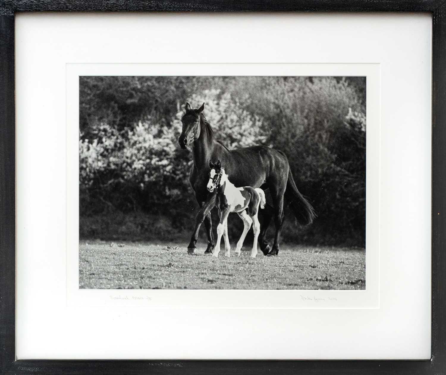 Lot 104 - Ander GUNN (XX-XXI)