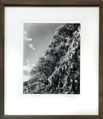 Lot 108 - Ander GUNN (XX-XXI)