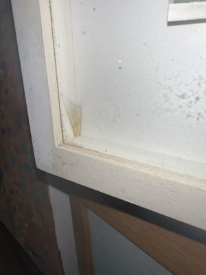 Lot 52 - Mary STORK (1938-2007)