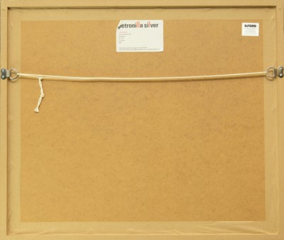 Lot 117 - Ander GUNN (XX-XXI)