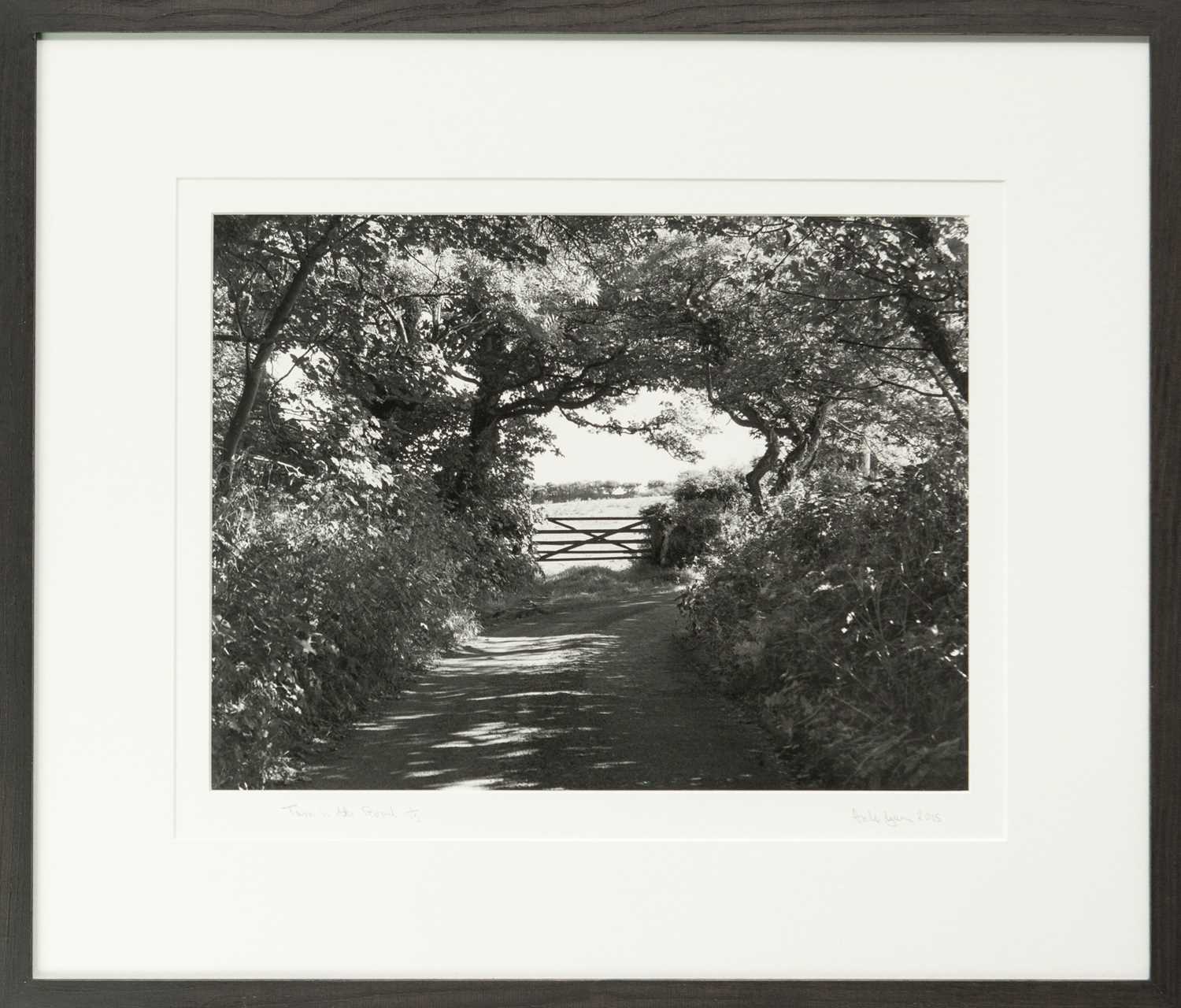 Lot 117 - Ander GUNN (XX-XXI)