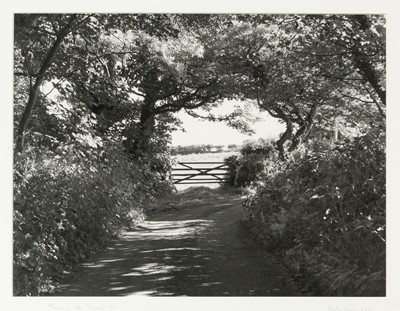 Lot 117 - Ander GUNN (XX-XXI)