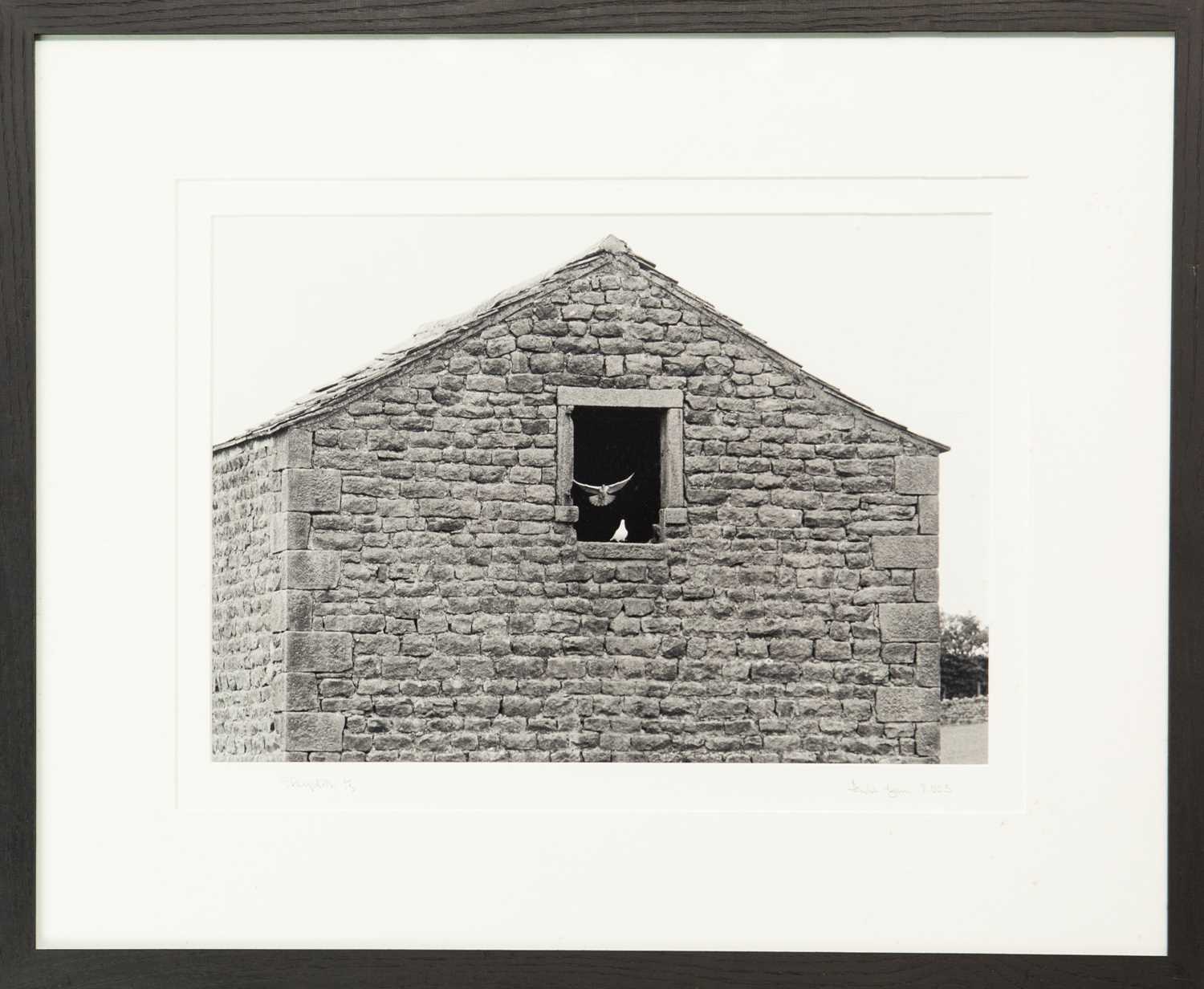 Lot 130 - Ander GUNN (XX-XXI)