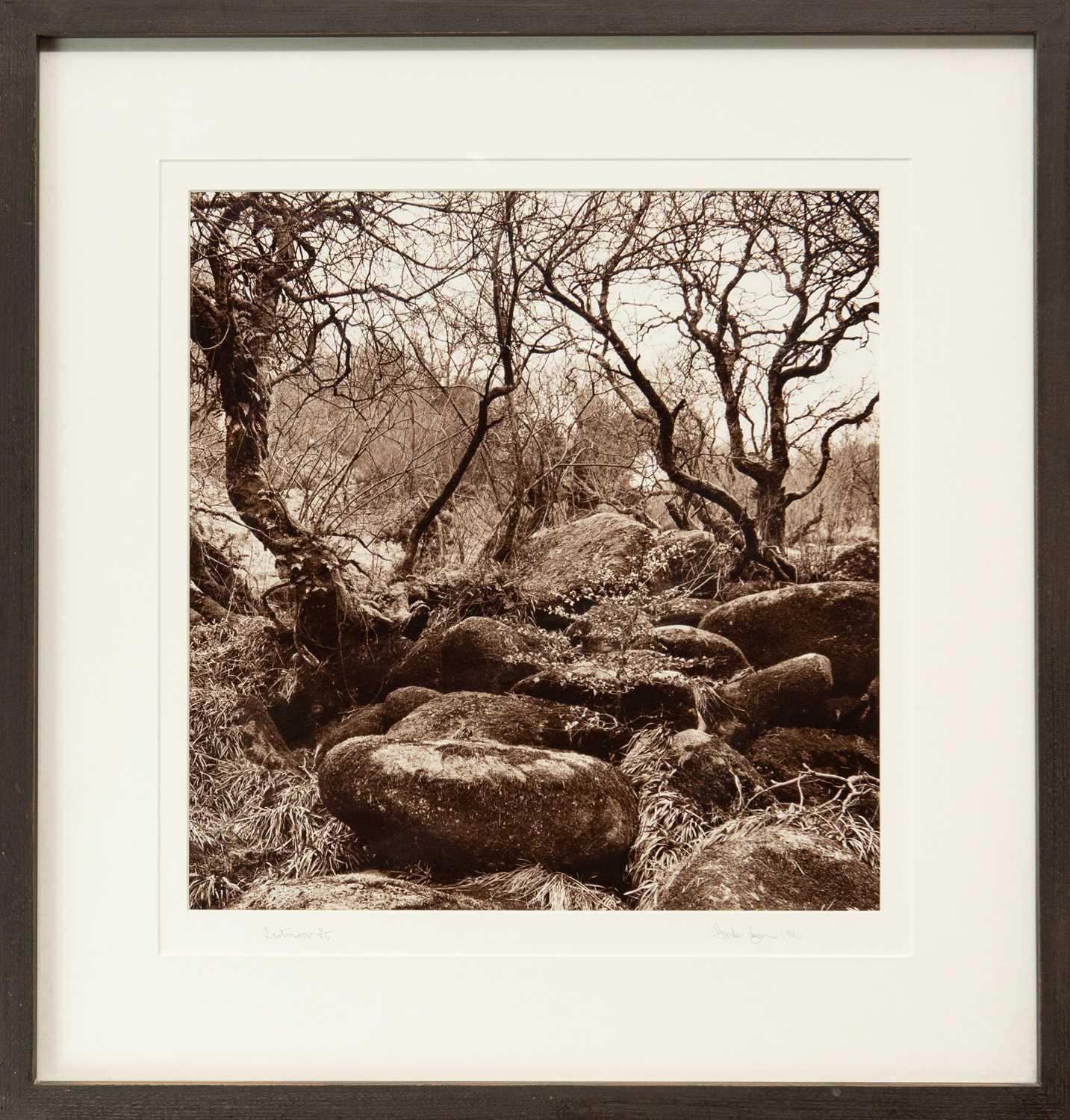 Lot 109 - Ander GUNN (XX-XXI)