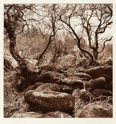 Lot 109 - Ander GUNN (XX-XXI)