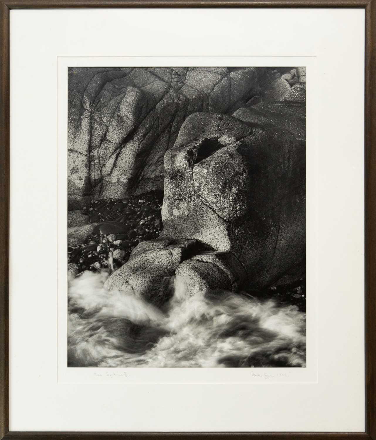 Lot 110 - Ander GUNN (XX-XXI)