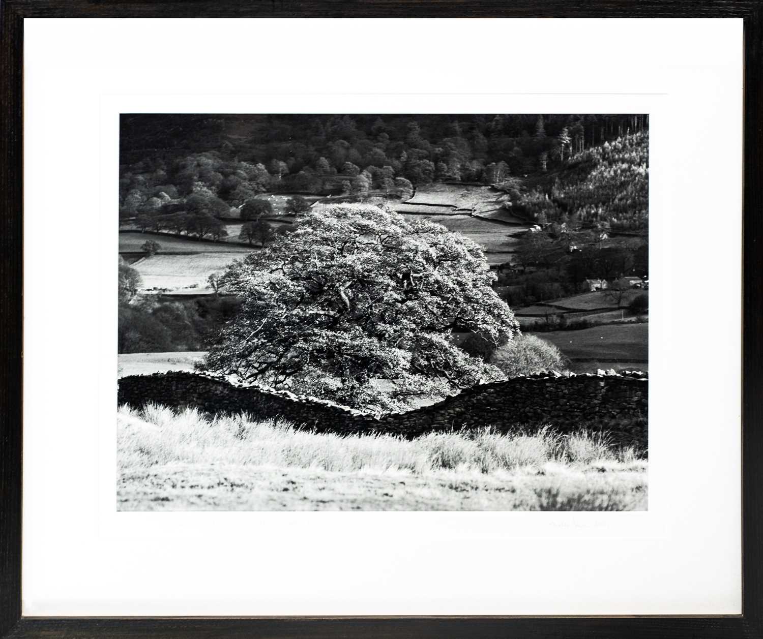 Lot 132 - Ander GUNN (XX-XXI)