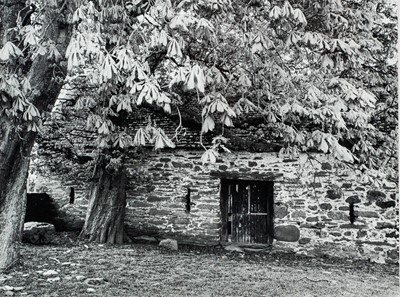 Lot 99 - Ander GUNN (XX-XXI)