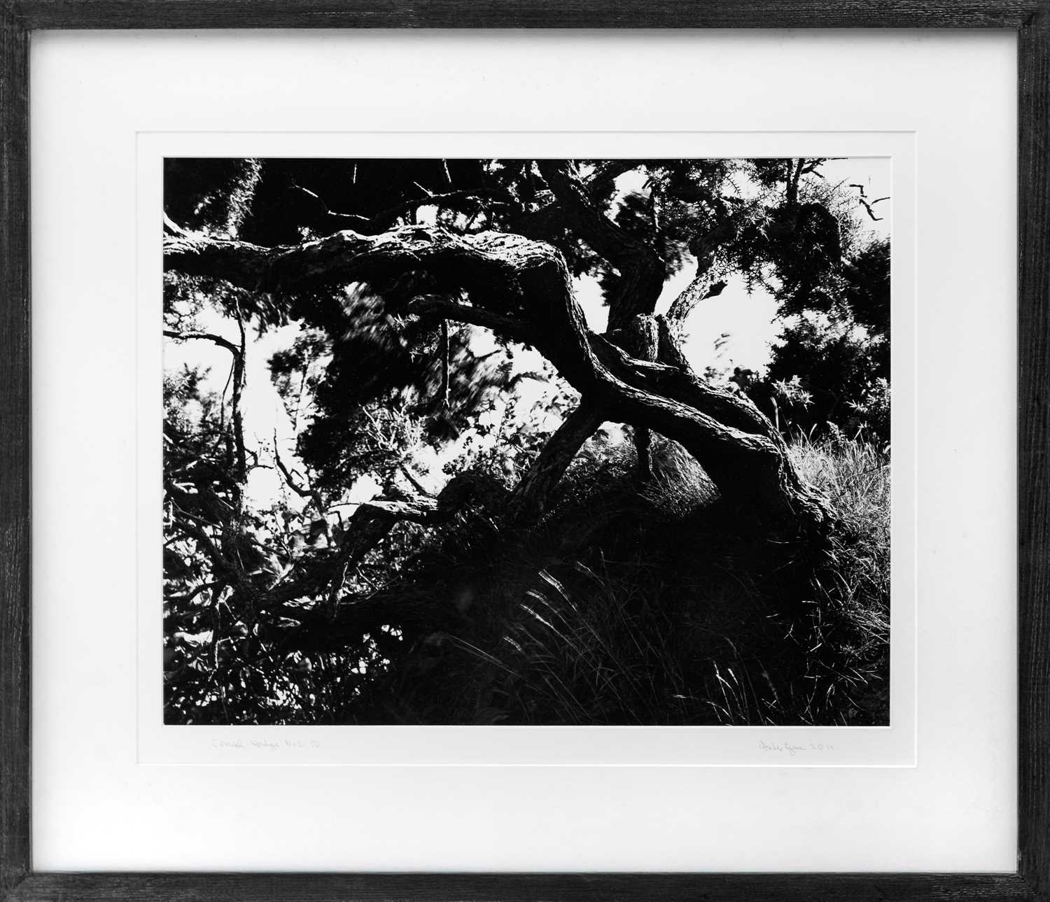 Lot 105 - Ander GUNN (XX-XXI)